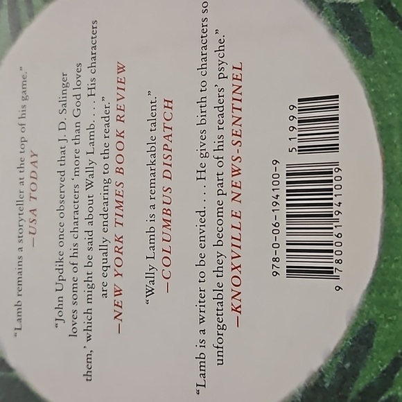 Wishin' and Hopin' A Christmas Story By: Wally Lamb 268 Pages Boys Will Be Boys - Picture 5 of 8